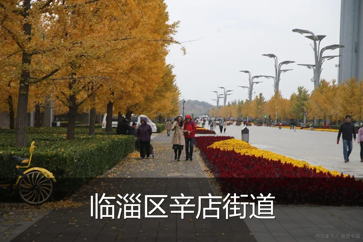 临淄区辛店街道