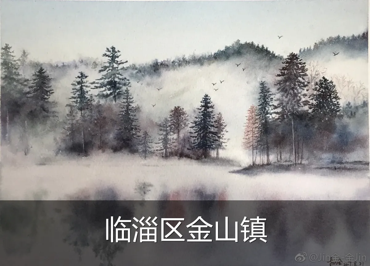临淄区金山镇