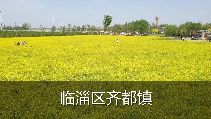 临淄区齐都镇