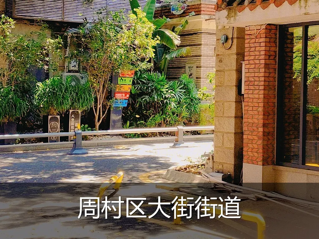 周村区大街街道