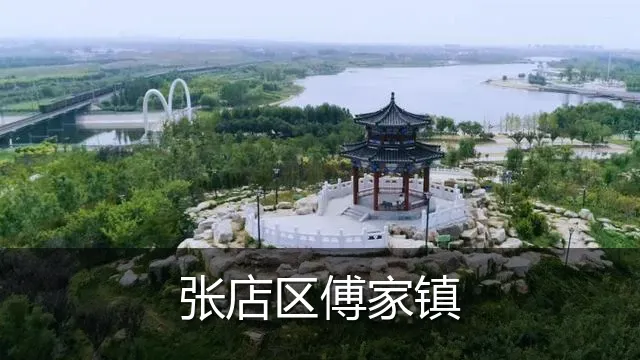 张店区傅家镇