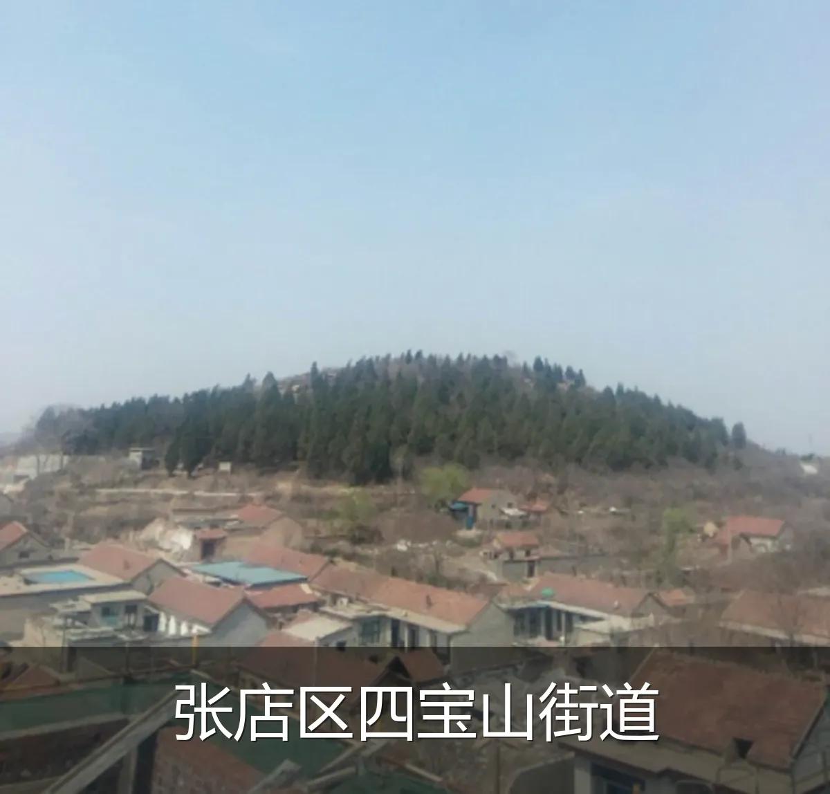 张店区四宝山街道