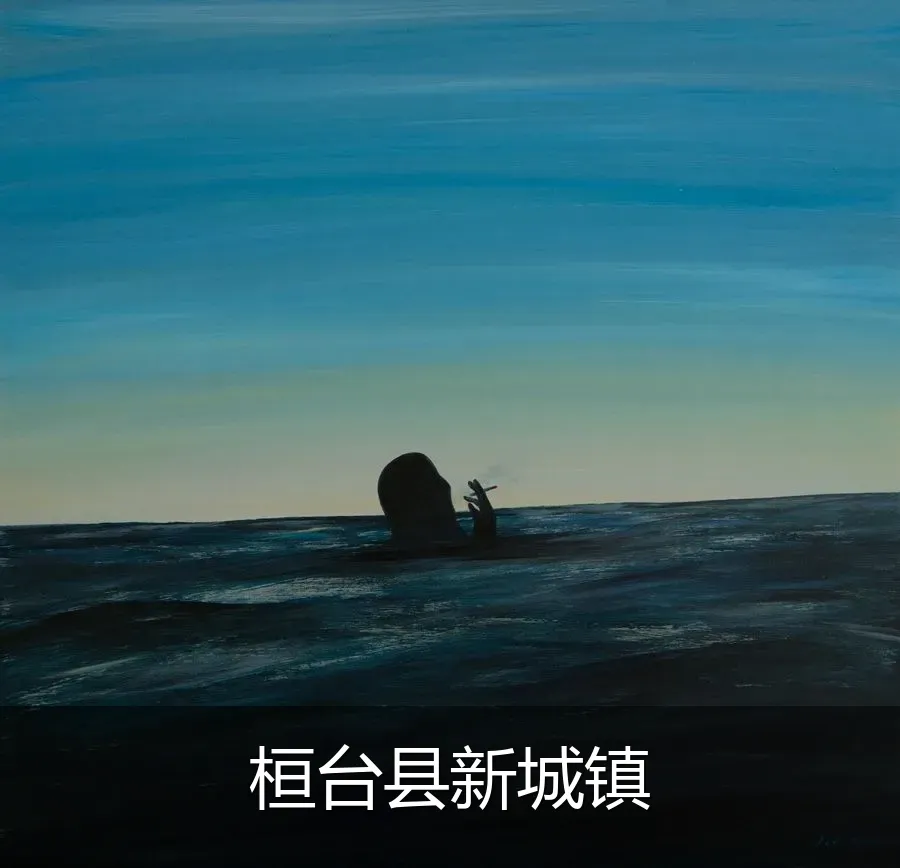 桓台县新城镇