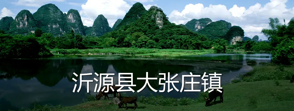 沂源县大张庄镇