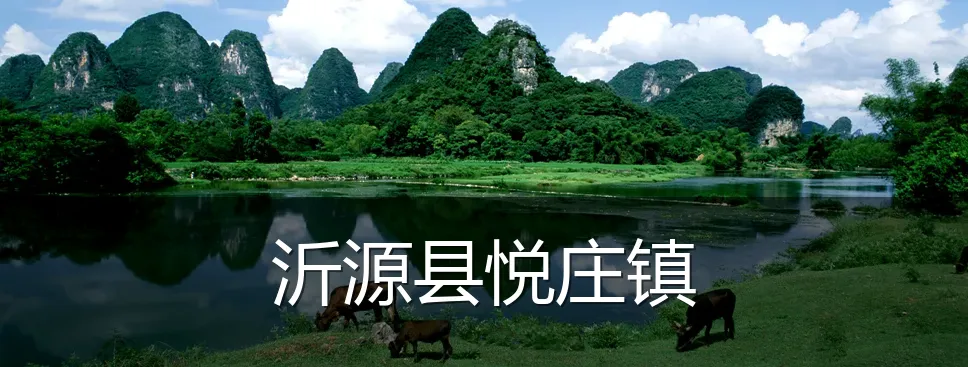 沂源县悦庄镇