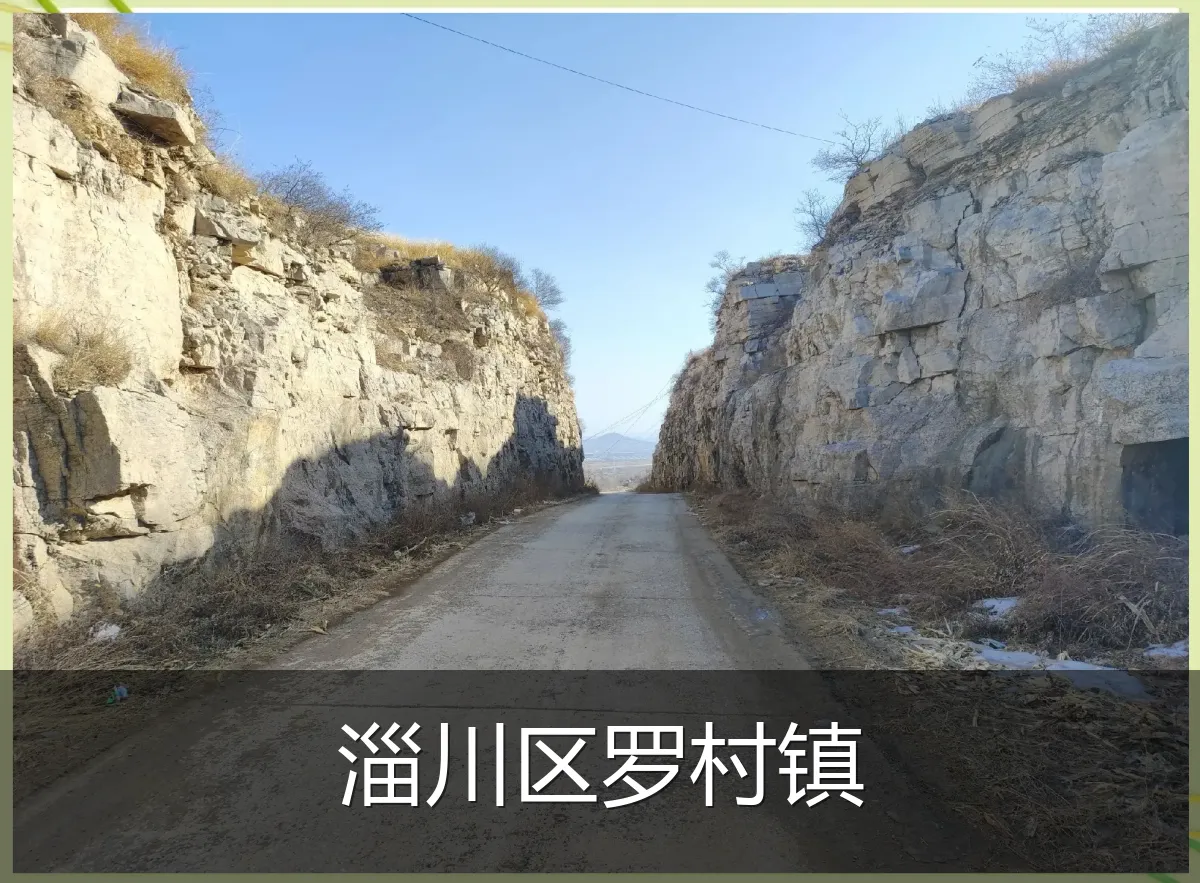 淄川区罗村镇