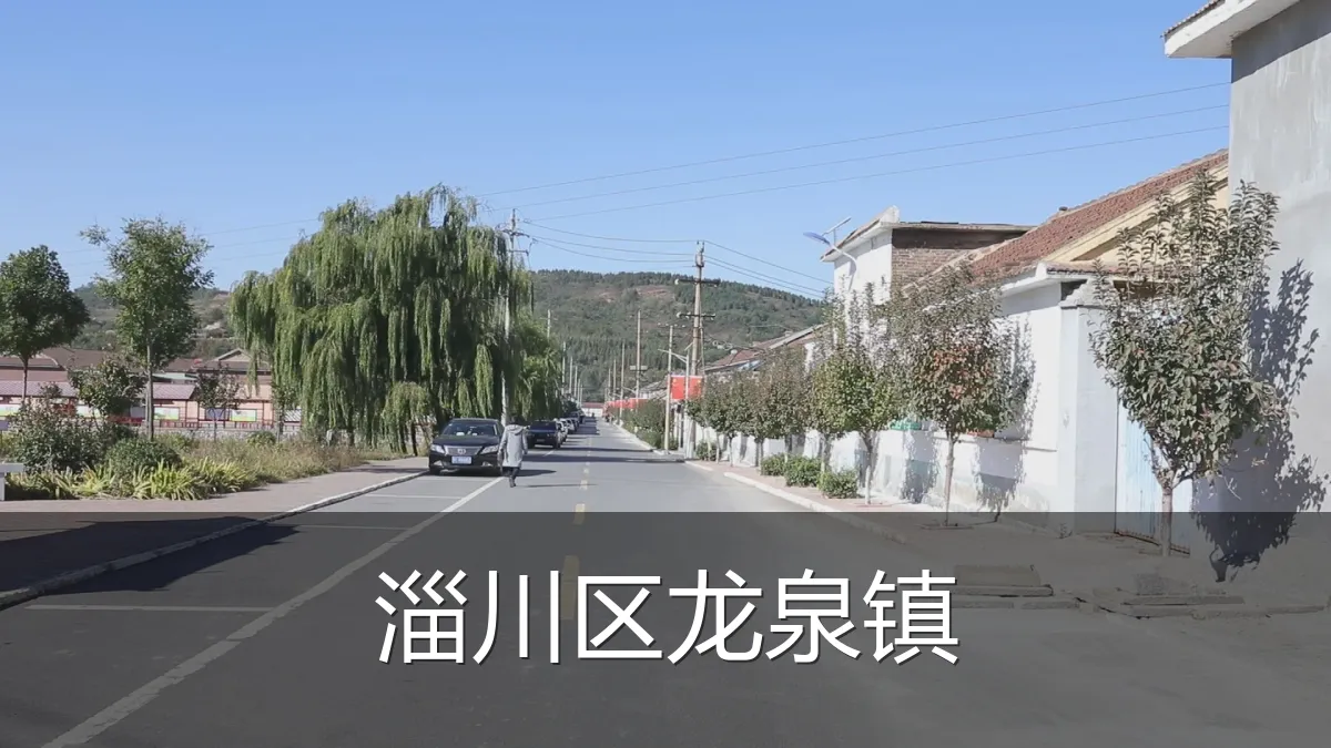 淄川区龙泉镇