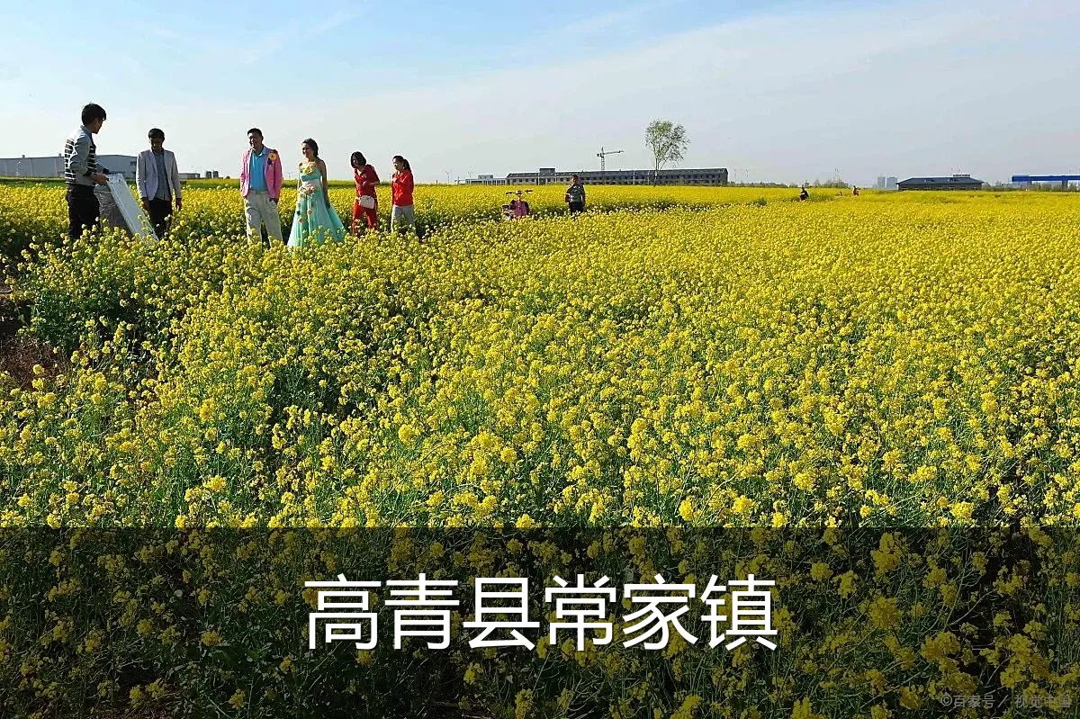 高青县常家镇