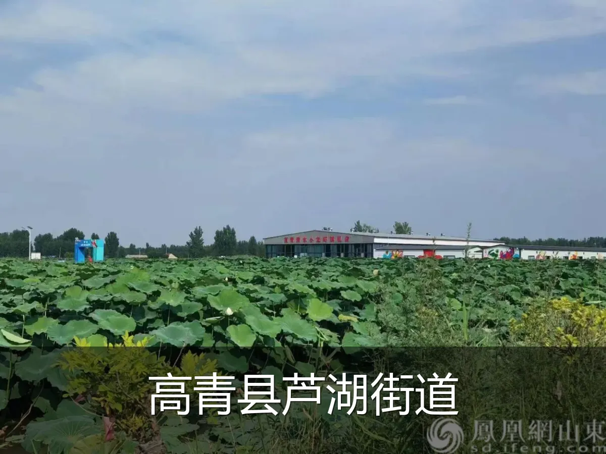 高青县芦湖街道